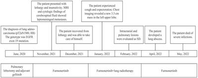 Successful therapy using high-dose furmonertinib for non-small cell lung cancer with leptomeningeal metastasis: a case report and literature review